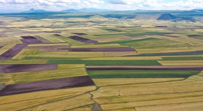 Emlaksende Hakkında